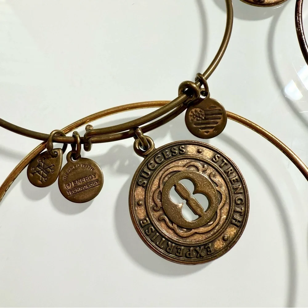 Alex and Ani Charm Bracelets - Set of 5